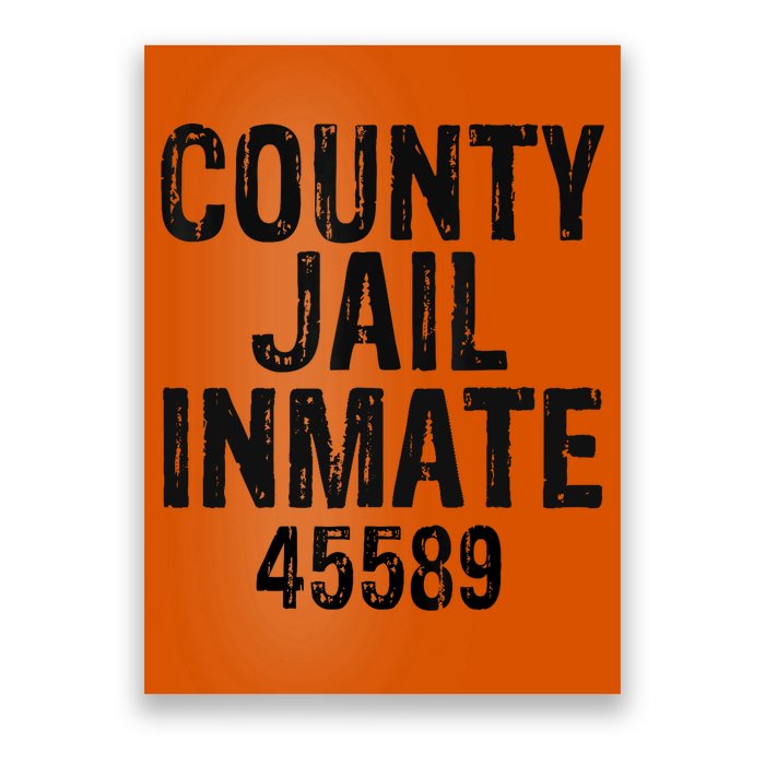 Halloween County Jail Inmate Costume Poster