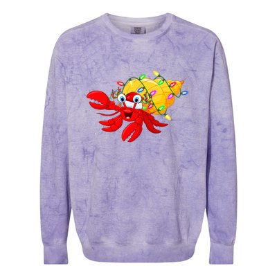 Hermit Crab Lover Xmas Lighting Santa Hermit Crab Christmas Colorblast Crewneck Sweatshirt