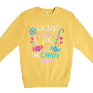 Halloween Candy Lollipop Cute Gift Premium Crewneck Sweatshirt