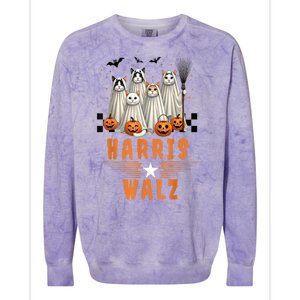 Halloween Cat Lovers Harris Waltz 2024 Vice President Gift Colorblast Crewneck Sweatshirt