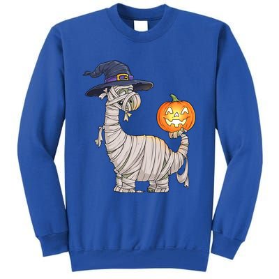 Halloween Costume Mummy Dinosaur Witch Scary Gift Tall Sweatshirt