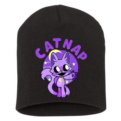 Hi Cats Nap Lover Funny Cat Short Acrylic Beanie