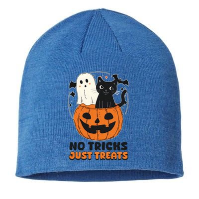 Halloween Cat No Tricks Just Treats Gift Sustainable Beanie