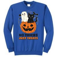 Halloween Cat No Tricks Just Treats Gift Tall Sweatshirt