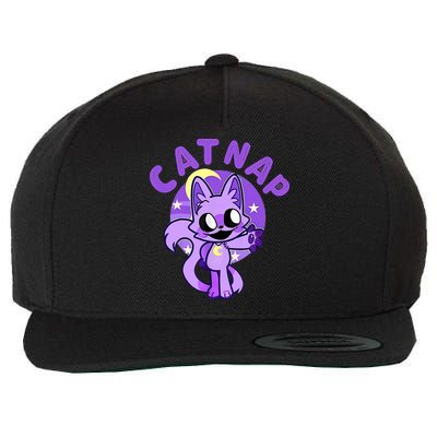 Hi Cats Nap Lover Funny Cat Cat Lover Wool Snapback Cap