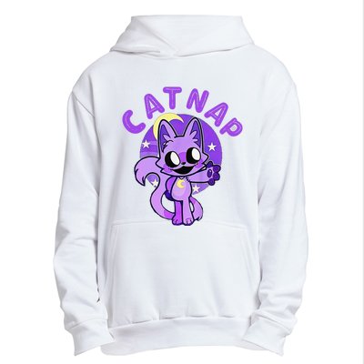 Hi Cats Nap Lover Funny Cat Gift Urban Pullover Hoodie