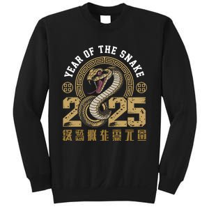 Happy Chinese New Year Year Of The Snake 2025 Sweatshirt