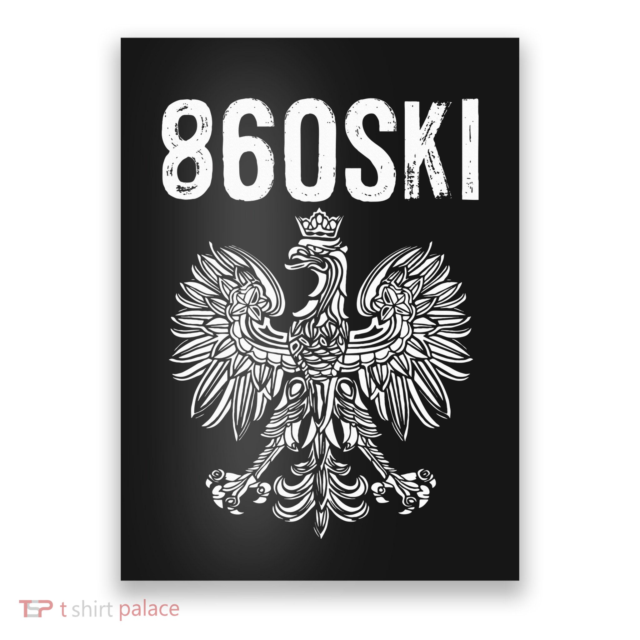 Hartford Connecticut Polish Eagle Flag Pride 860 Area Code Poster