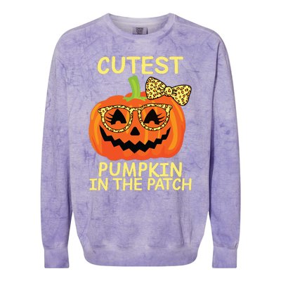 Halloween Cutest Pumpkin In The Patch Girl Halloween Pumpkin Colorblast Crewneck Sweatshirt