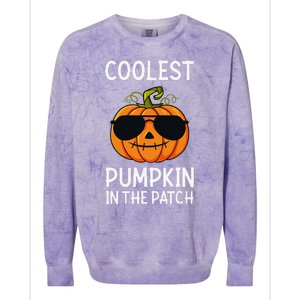 Halloween Coolest Pumpkin In The Patch Colorblast Crewneck Sweatshirt