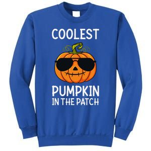 Halloween Coolest Pumpkin In The Patch Sweatshirt