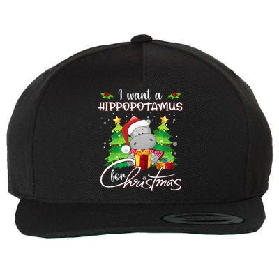 Hippopotamus Christmas Plush Toy Wool Snapback Cap