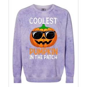 Halloween Coolest Pumpkin In The Patch Colorblast Crewneck Sweatshirt