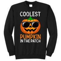 Halloween Coolest Pumpkin In The Patch Tall Sweatshirt