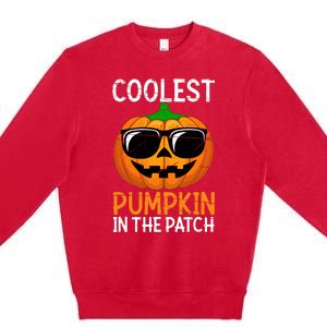 Halloween Coolest Pumpkin In The Patch Premium Crewneck Sweatshirt