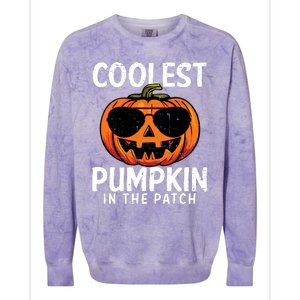 Halloween Coolest Pumpkin In The Patch Colorblast Crewneck Sweatshirt