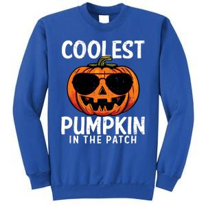 Halloween Coolest Pumpkin In The Patch Sweatshirt