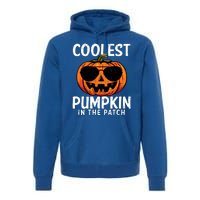 Halloween Coolest Pumpkin In The Patch Premium Hoodie