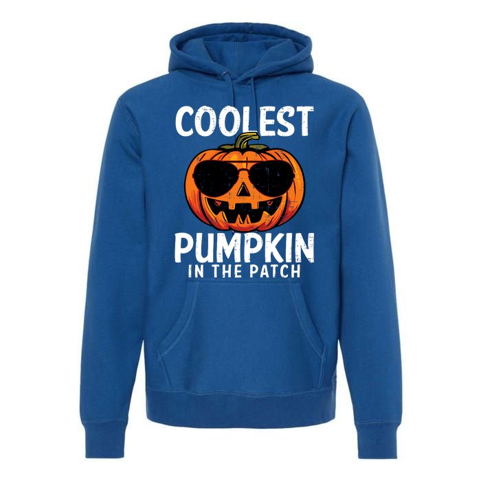 Halloween Coolest Pumpkin In The Patch Premium Hoodie