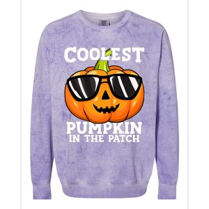 Halloween Coolest Pumpkin In The Patch Colorblast Crewneck Sweatshirt