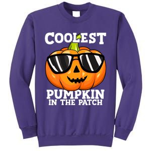 Halloween Coolest Pumpkin In The Patch Sweatshirt