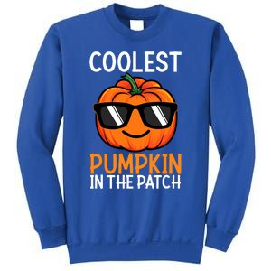 Halloween Coolest Pumpkin In The Patch Sweatshirt