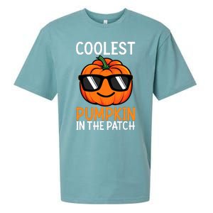 Halloween Coolest Pumpkin In The Patch Sueded Cloud Jersey T-Shirt