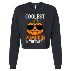 Halloween Coolest Pumpkin In The Patch Cropped Pullover Crew