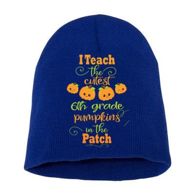 Halloween Cutest Pumpkins Funny Sixth Grade Teacher Gift Short Acrylic Beanie