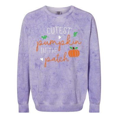 Halloween Cutest Pumpkin In The Patch Funny Colorblast Crewneck Sweatshirt