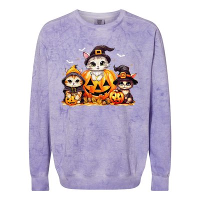 Halloween Cat Pumpkin Spooky Season Gift Colorblast Crewneck Sweatshirt