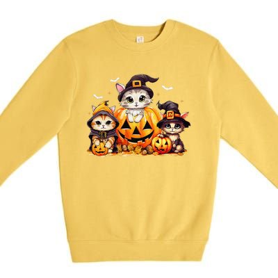 Halloween Cat Pumpkin Spooky Season Gift Premium Crewneck Sweatshirt