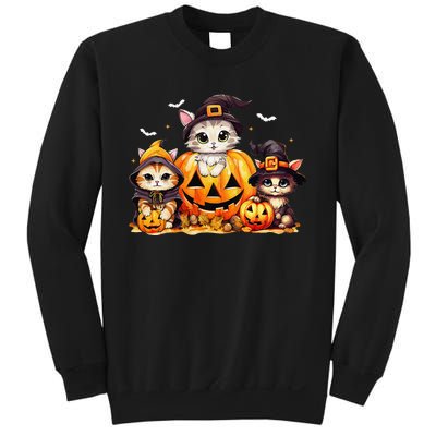 Halloween Cat Pumpkin Spooky Season Gift Sweatshirt