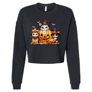 Halloween Cat Pumpkin Spooky Season Gift Cropped Pullover Crew