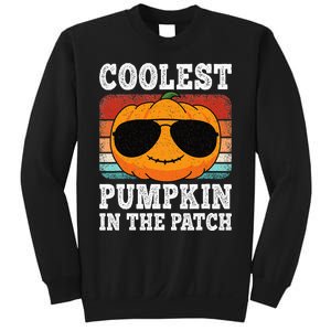 Halloween Coolest Pumpkin In The Patch Sweatshirt