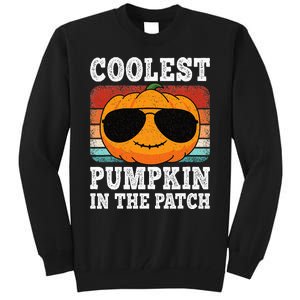 Halloween Coolest Pumpkin In The Patch Tall Sweatshirt