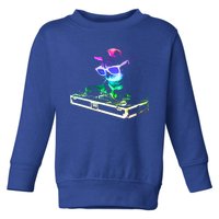 House Cat (Rainbow Dj Cat Kitty) Great Gift Toddler Sweatshirt