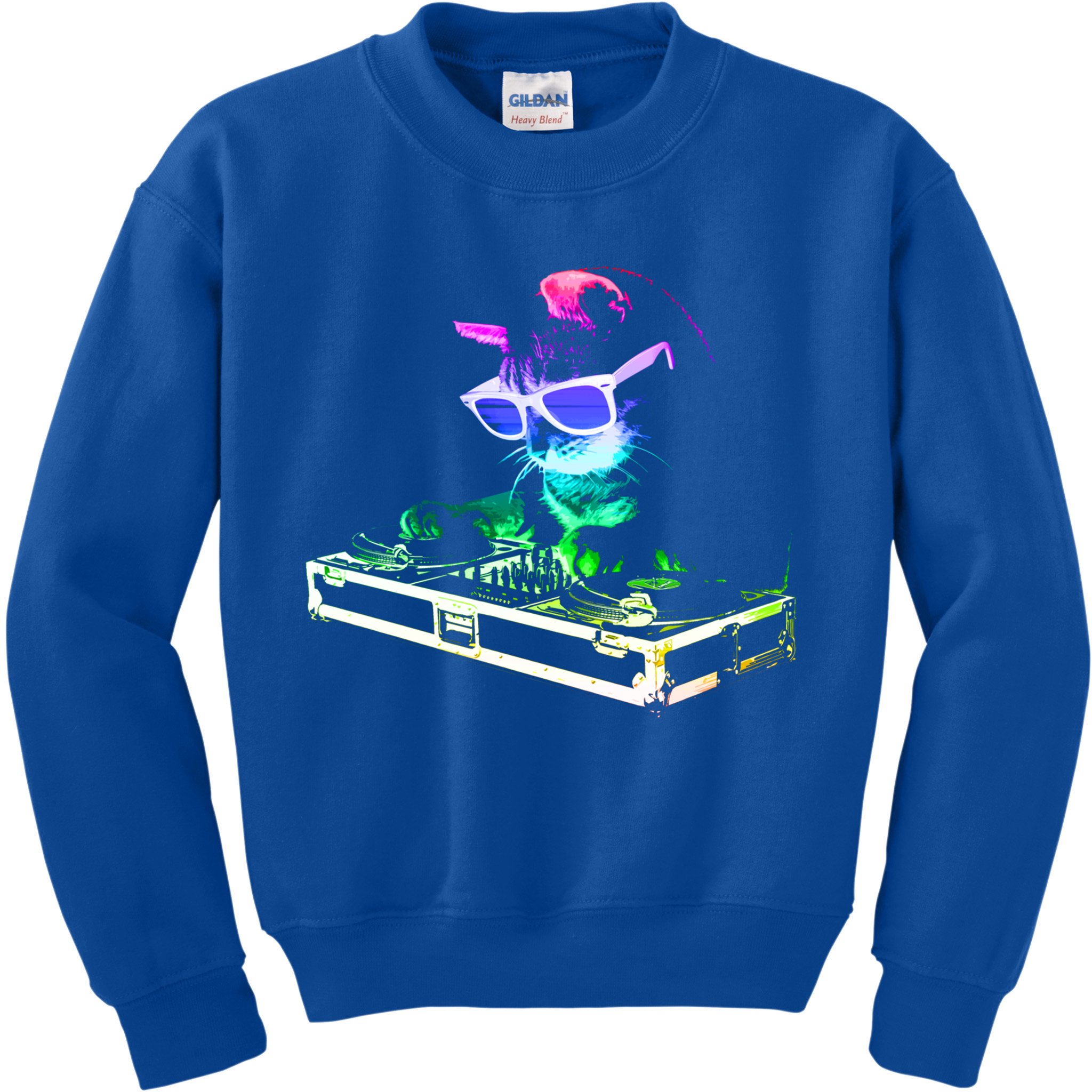 House Cat (Rainbow Dj Cat Kitty) Great Gift Kids Sweatshirt