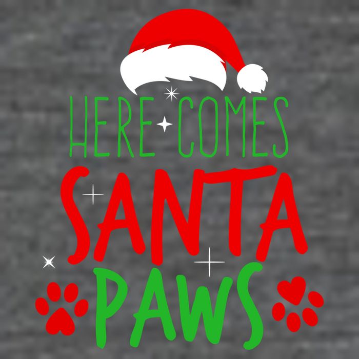 Here Comes Santa Paws Cute Christmas Baby Bodysuit