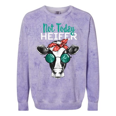 Heifer Country Sayings Not Today Heifer Colorblast Crewneck Sweatshirt