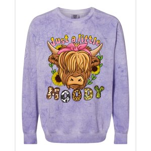 Highland Cow Scottish Highland Cow Colorblast Crewneck Sweatshirt