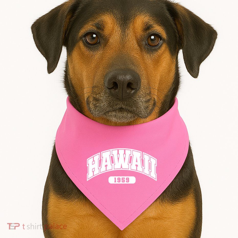 Hawaii Collegiate Style 1959 USA-Made Doggie Bandana