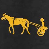 Horse Cart Trophy Adult Drive Performance Visor
