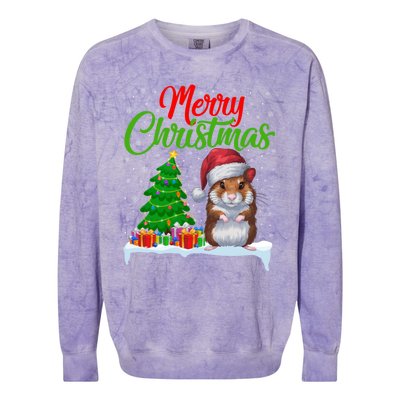 Hamster Christmas Tree Lights Funny Xmas Hamster Lover Gift Colorblast Crewneck Sweatshirt