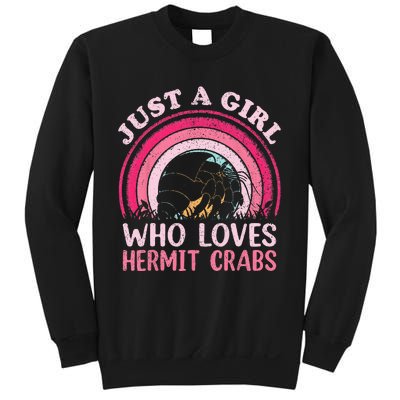 Hermit Crab Vintage Retro Just A Girl Who Loves Hermit Crabs Sweatshirt