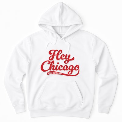 Hey Chicago What Do You Say Hoodie