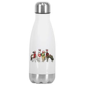 Horse Christmas Western Christmas Horse Stainless Steel Insulated Water Bottle