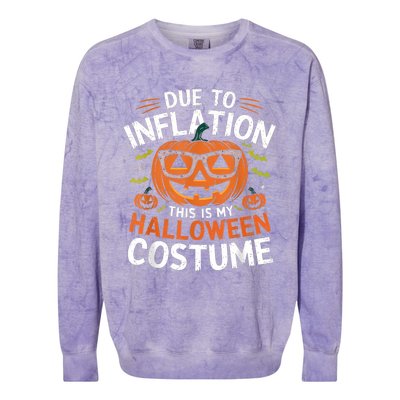 Halloween Costumes Woman 2024 Funny Due To Inflation Colorblast Crewneck Sweatshirt