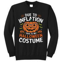 Halloween Costumes Woman 2024 Funny Due To Inflation Tall Sweatshirt