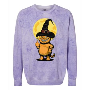 Halloween Cat Wearing Witch Hat With The Middle Finger Funny Colorblast Crewneck Sweatshirt